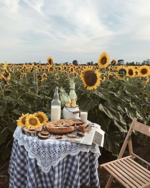 Picnic aesthetic photoshoot ideas: Sunflower Picnic