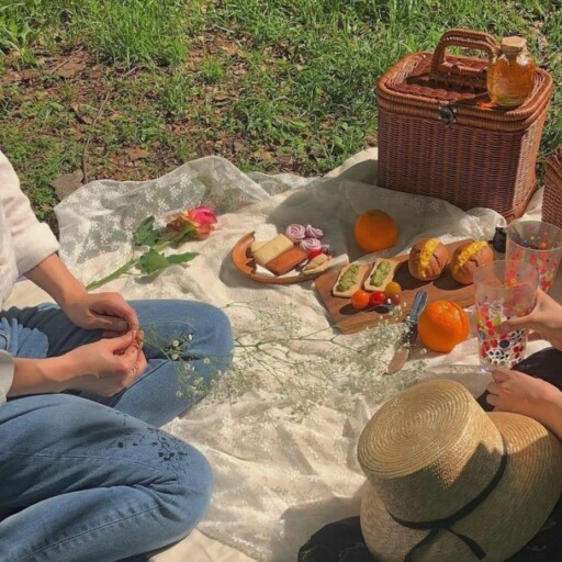 Picnic aesthetic photoshoot ideas: Flat Grassy Picnic