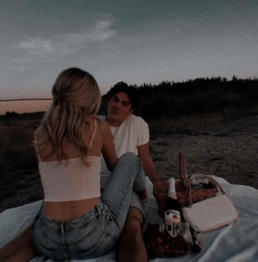 Picnic aesthetic photoshoot ideas: Couples Shot