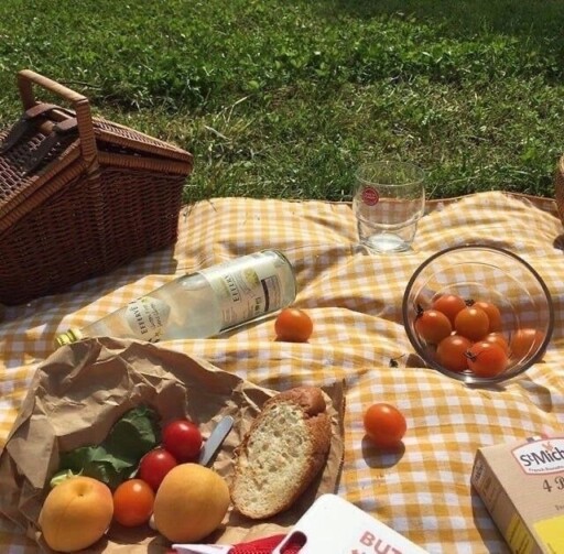 Picnic aesthetic photoshoot ideas: Checked Blanket Classic Picnic