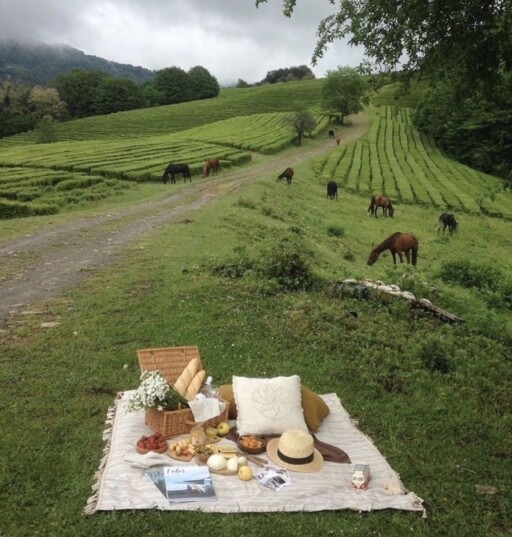 Picnic aesthetic photoshoot ideas: Picnic By Farmland