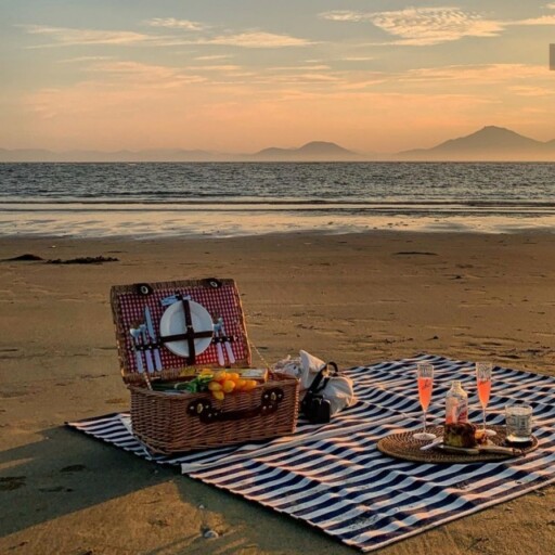 Picnic aesthetic photoshoot ideas: Preppy Beach Picnic