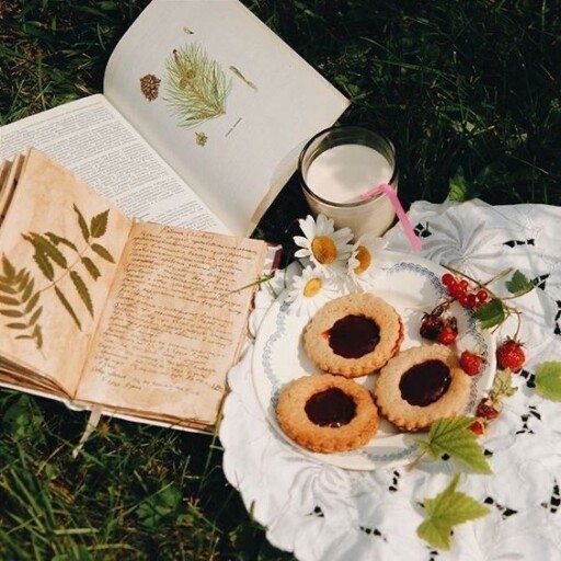 Picnic aesthetic photoshoot ideas: Book With Sweets