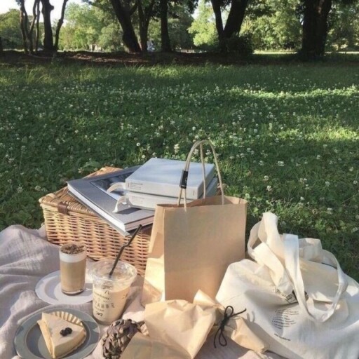 Picnic aesthetic photoshoot ideas: Classic Take Out Picnic