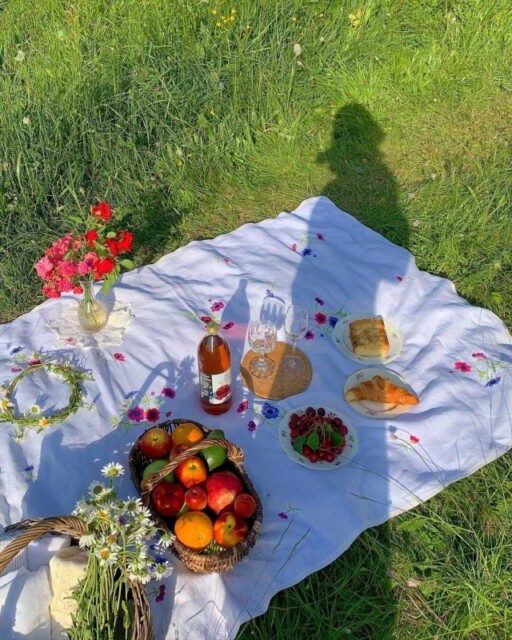 Picnic aesthetic photoshoot ideas: Midday Picnic With Shadow
