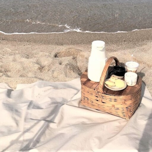 Picnic aesthetic photoshoot ideas: Beach Basket