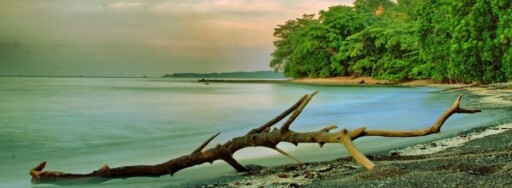 black sand beach