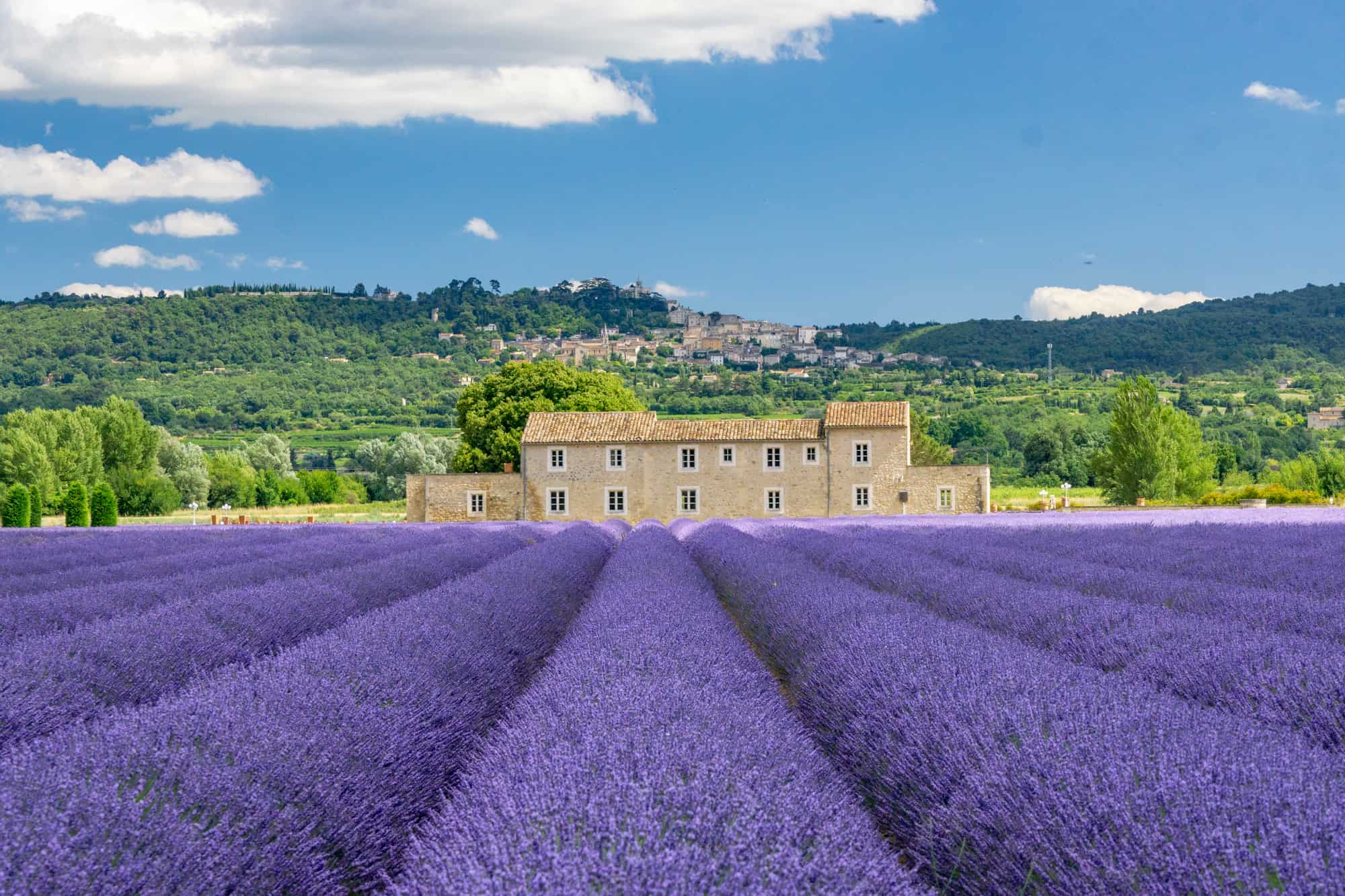 Lavender Fields In Provence France Scenery Beautiful | My XXX Hot Girl