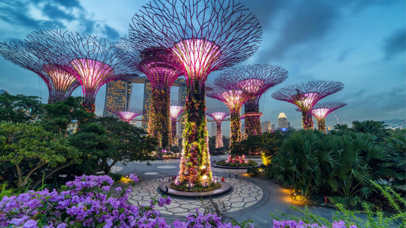 Vibrant flower garden with colorful blooms in Gardens by the Bay, Singapore