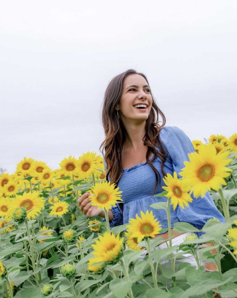 Vibrant flower field with colorful blooms in Sunflower Fields, Spain