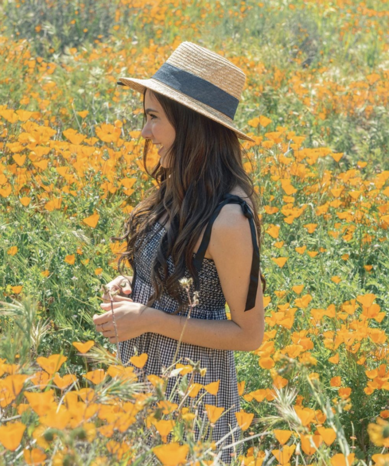 Vibrant flower field with colorful blooms in Antelope Valley, Mojave Desert, California