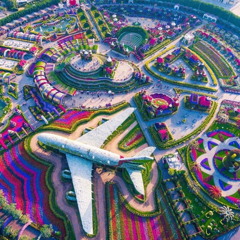 Vibrant flower garden with colorful blooms in Dubai Flower Garden, UAE