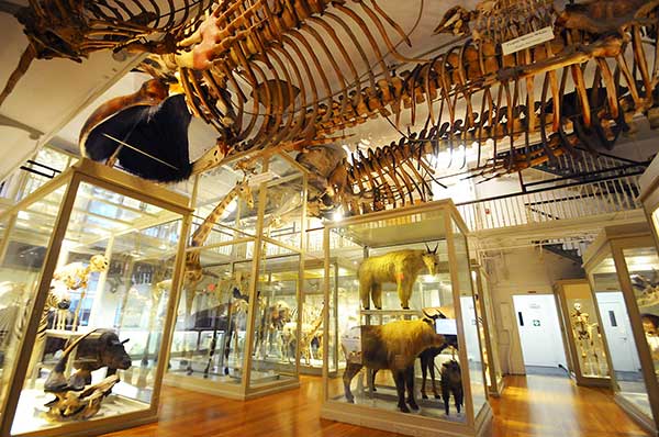 best museums in boston ma