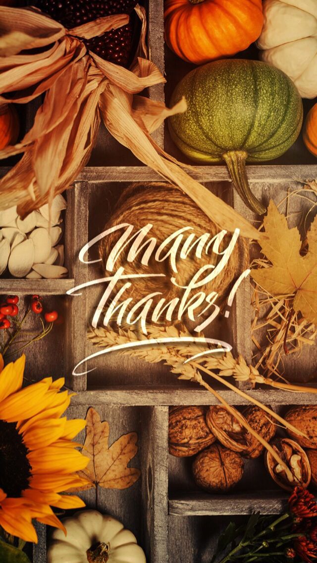 Thanksgiving 2022 Wishes and Greetings Share WhatsApp Messages Images HD  Wallpapers and SMS With Loved Ones on Turkey Day   LatestLY