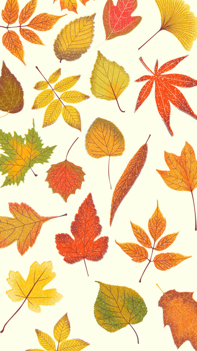 The best free thanksgiving wallpaper downloads for iPhone