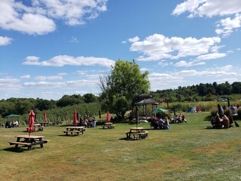 wineries in new england