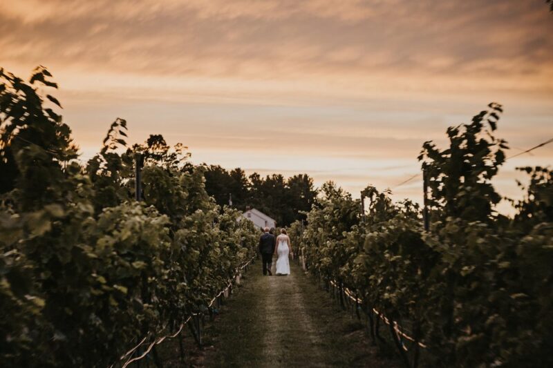 wineries in new england