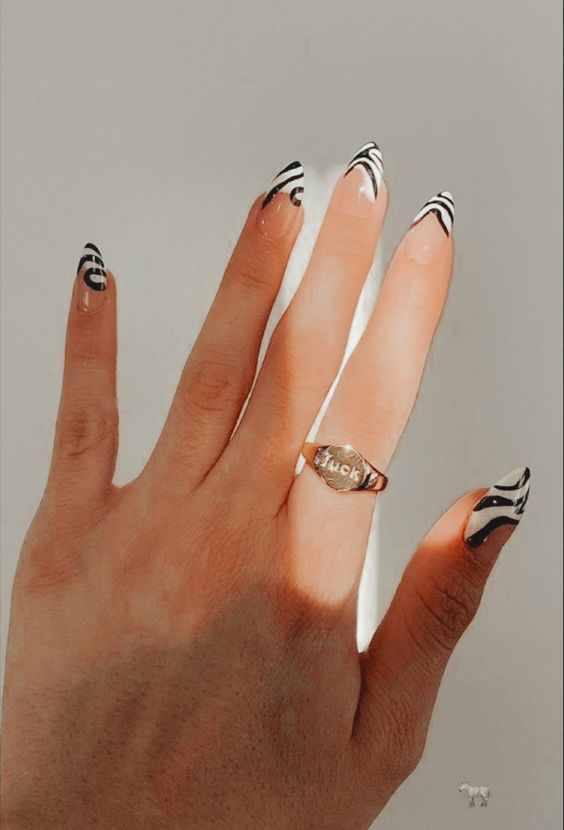 The top zebra nails including zebra nail designs, zebra nail art, and more animal print nails