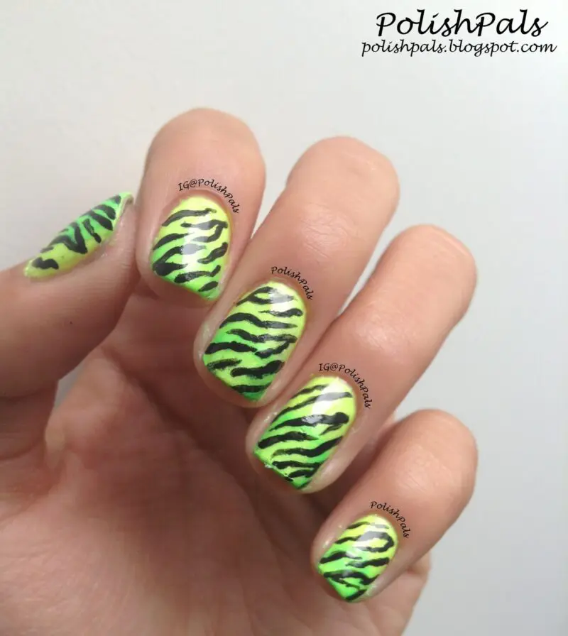 The top zebra nails including zebra nail designs, zebra nail art, and more animal print nails