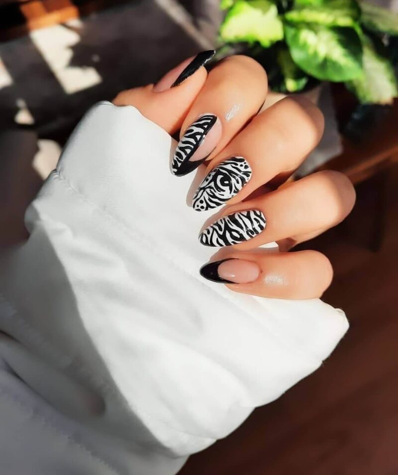 The top zebra nails including zebra nail designs, zebra nail art, and more animal print nails