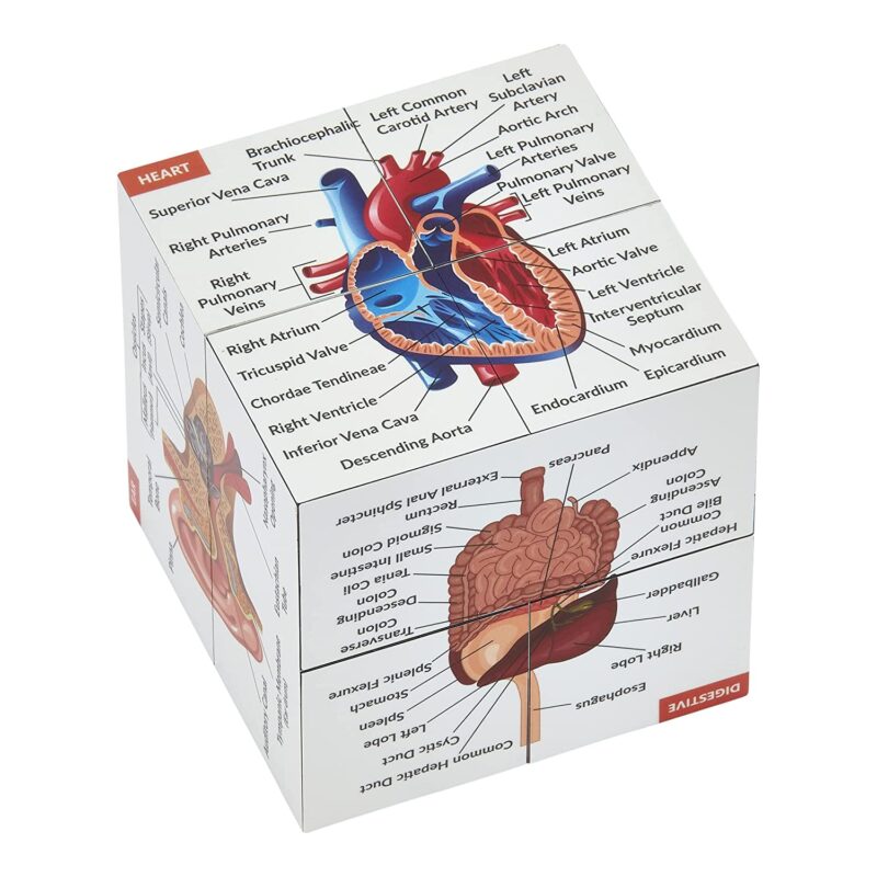 Gifts for medical students