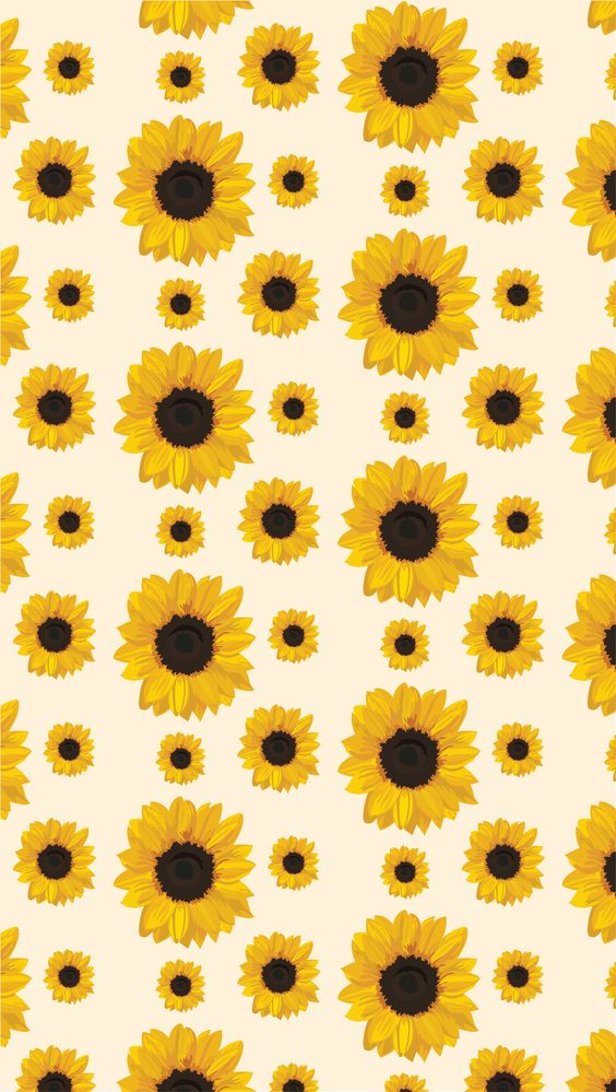 50+ Sunflower Wallpaper Backgrounds to Download Free For Your iPhone