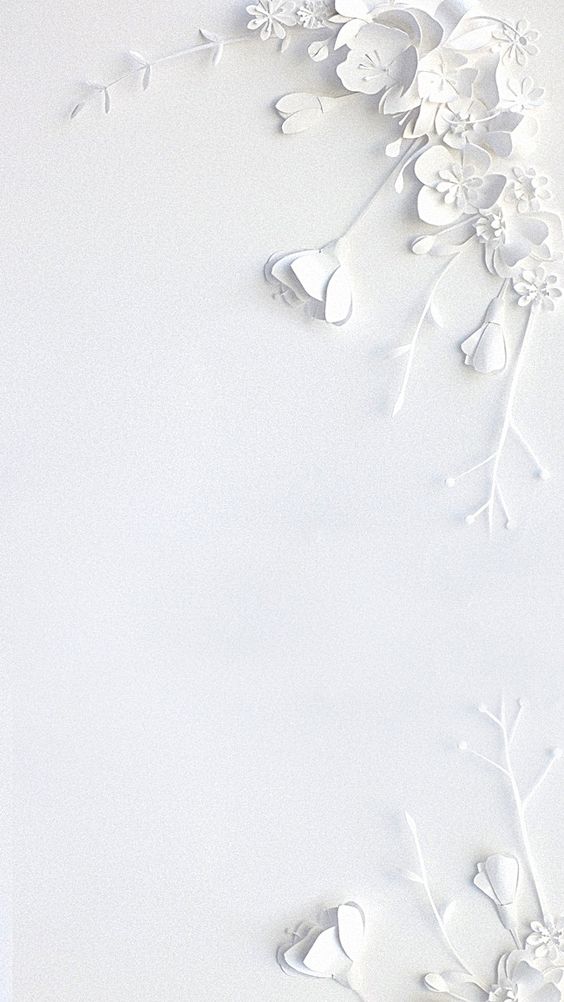 White wallpaper backgrounds for iPhone to download free