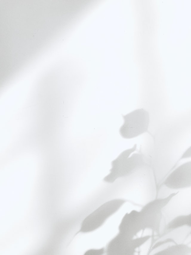 White wallpaper backgrounds for iPhone to download free