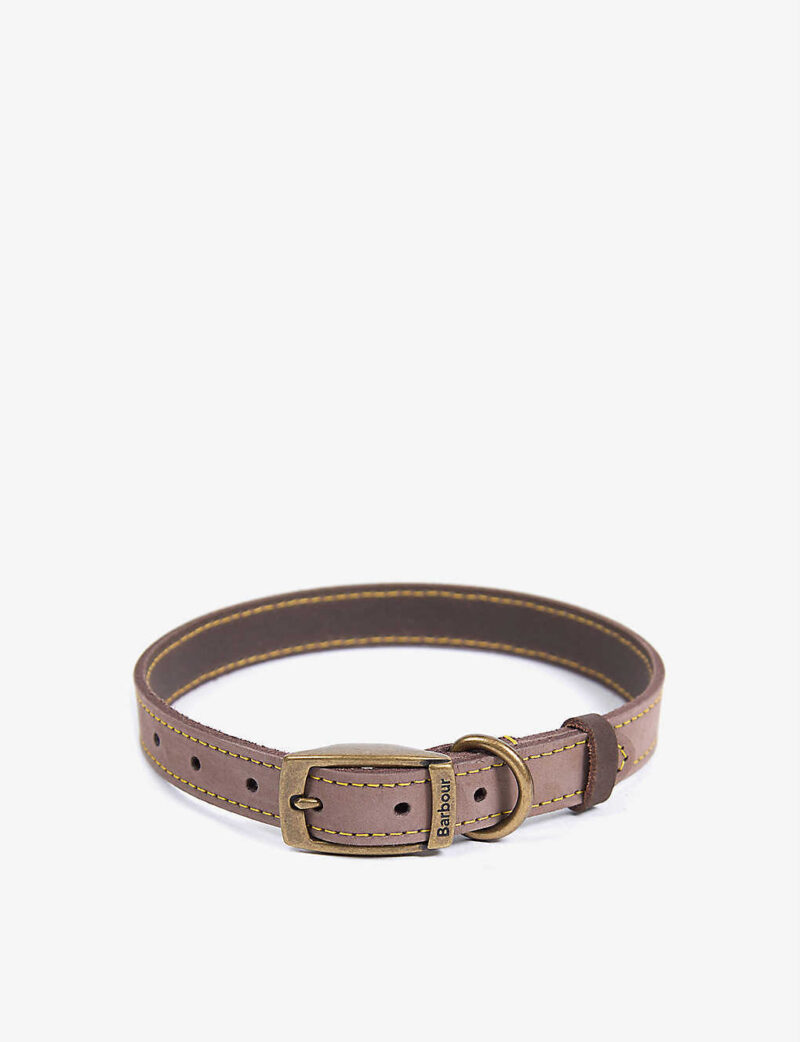 designer dog collars