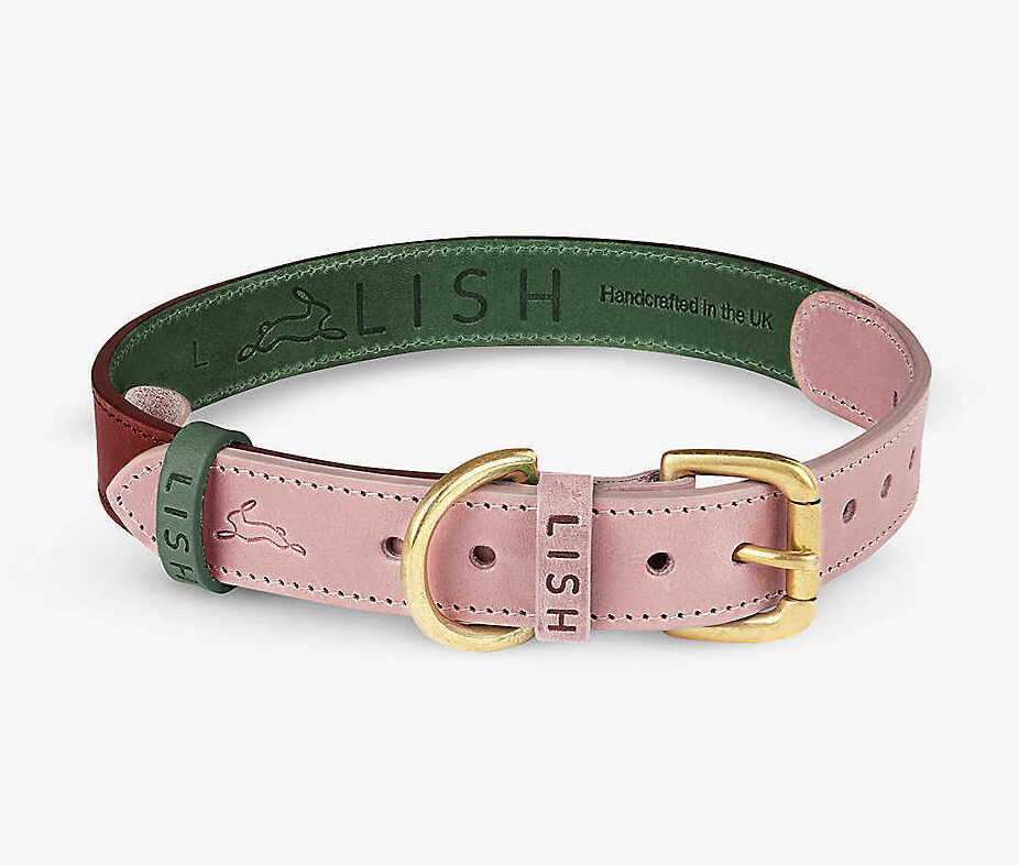 Chic designer dog collars to shop for your pup: LISH Walter Leather Dog Collar