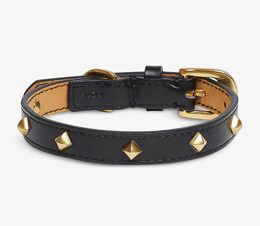 Chic designer dog collars to shop for your pup: OVER GLAM Stud-Embellished Leather Pet Collar