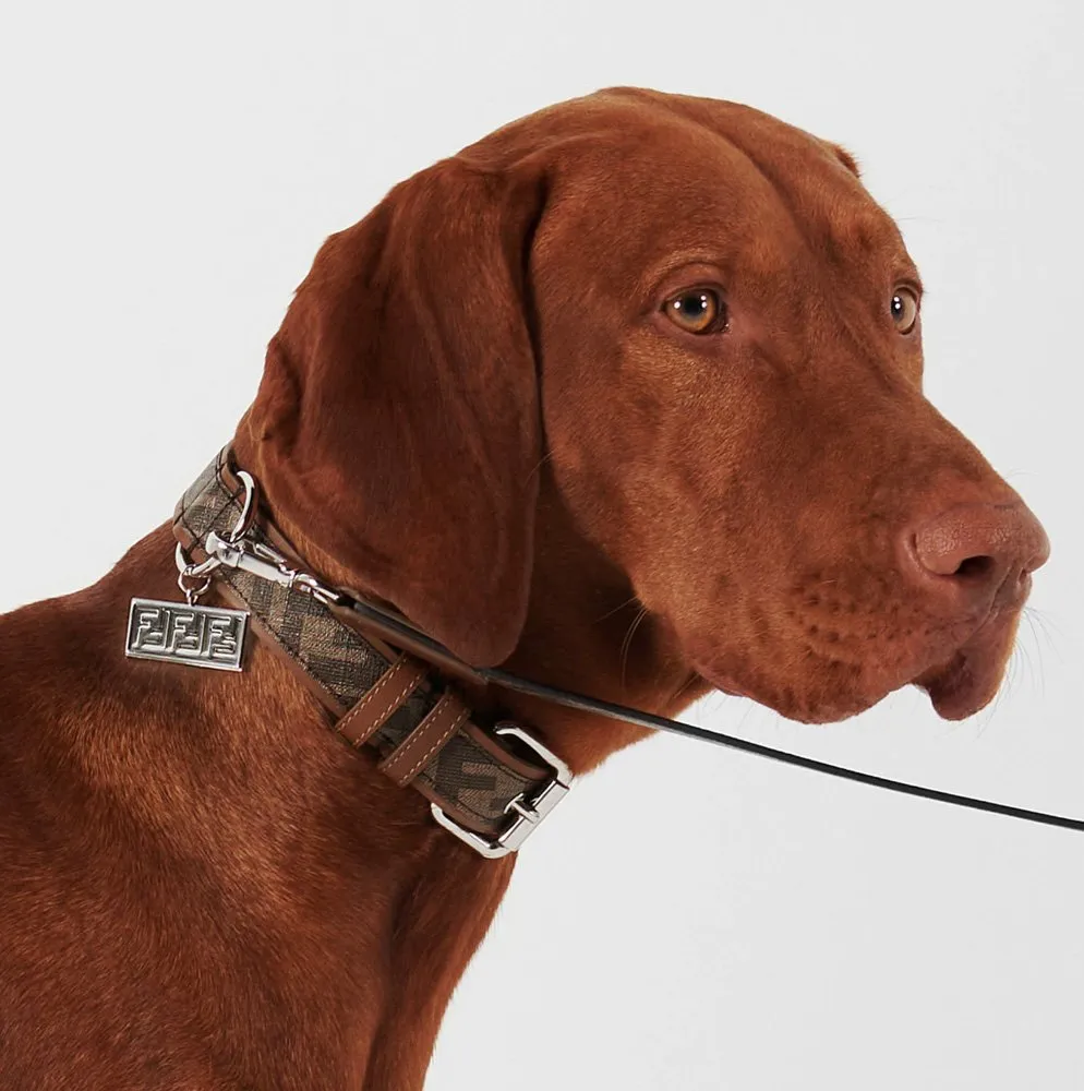 Chic designer dog collars to shop for your pup: FENDI Brown Fabric Dog Collar