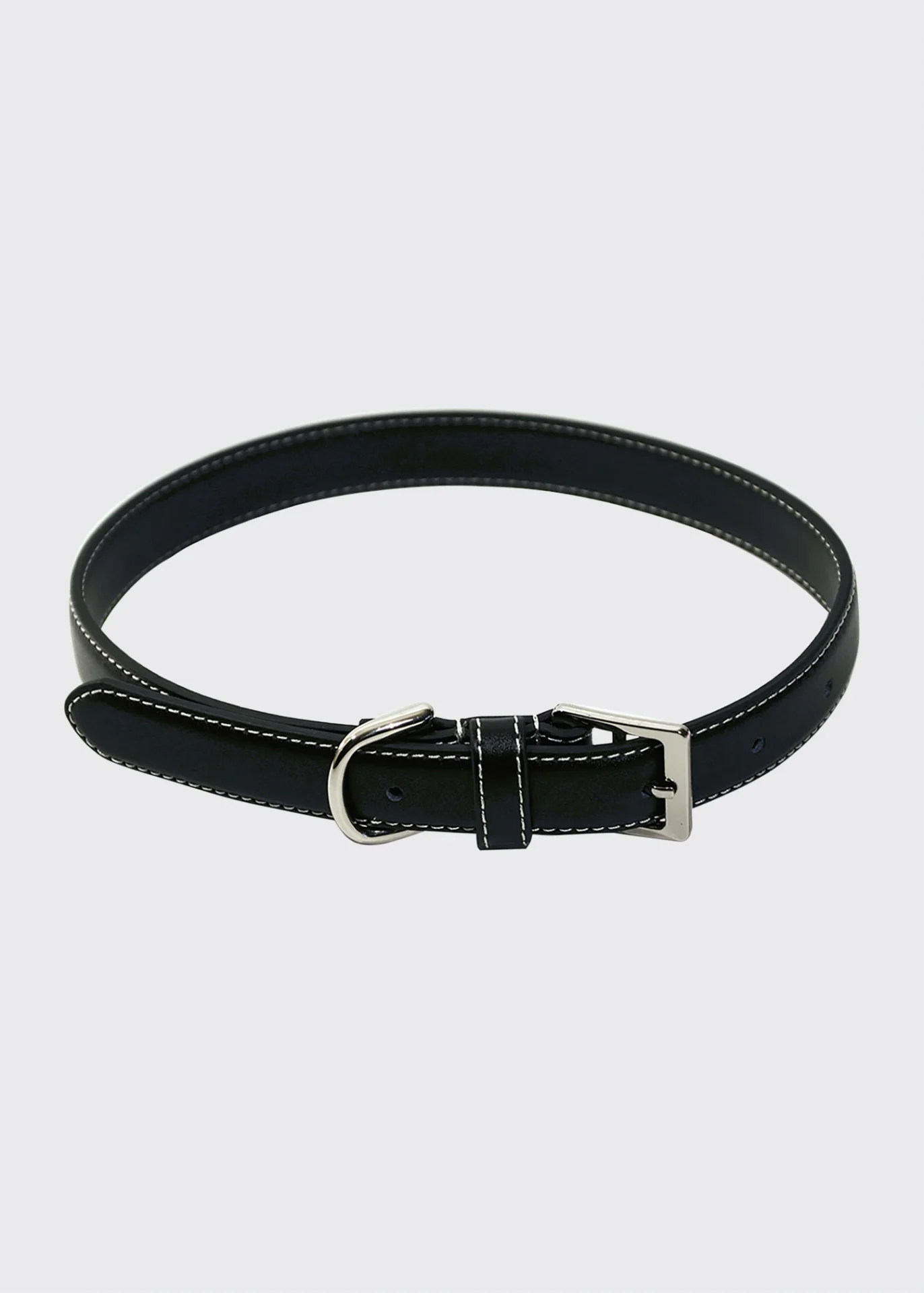 designer dog collars