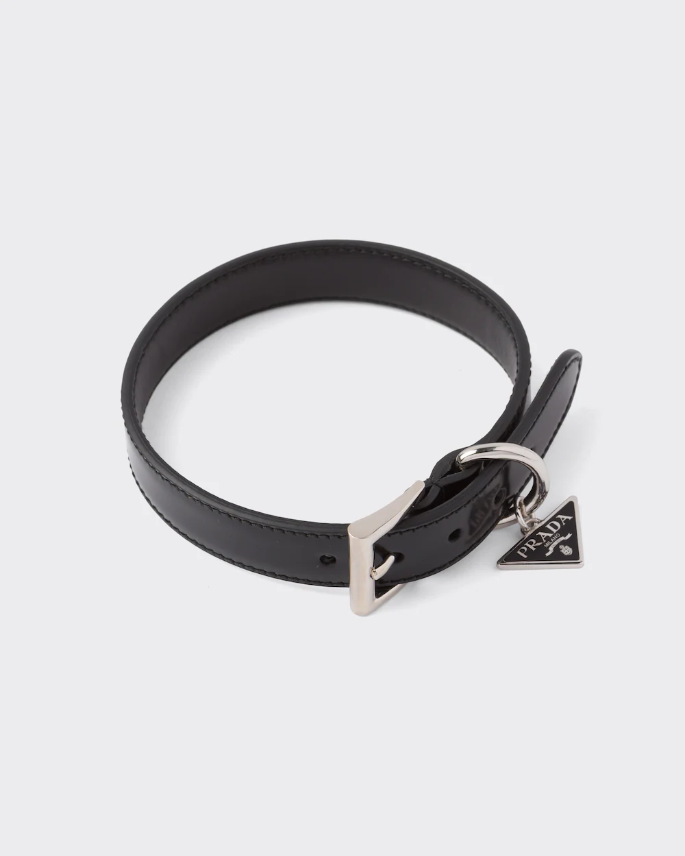 designer dog collars