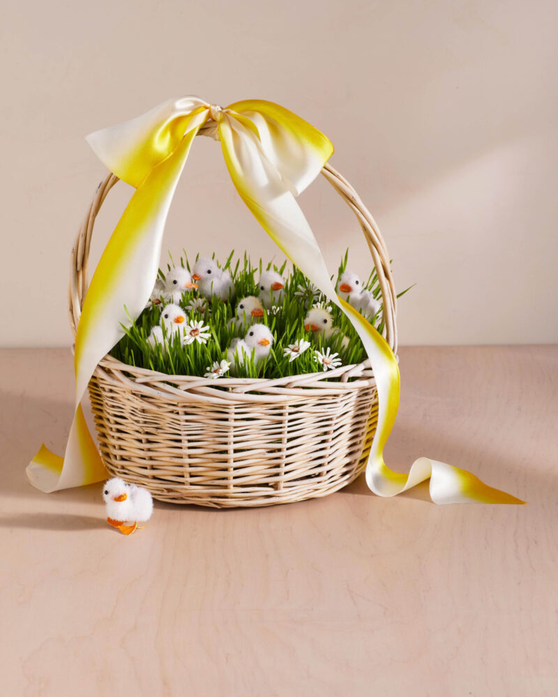 The best Easter Basket ideas to copy this year