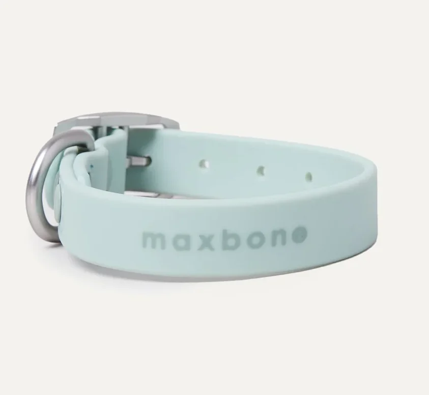 Chic designer dog collars to shop for your pup: MAXBONE Hazel Collar