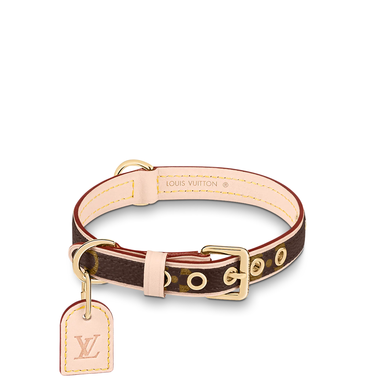 designer dog collars