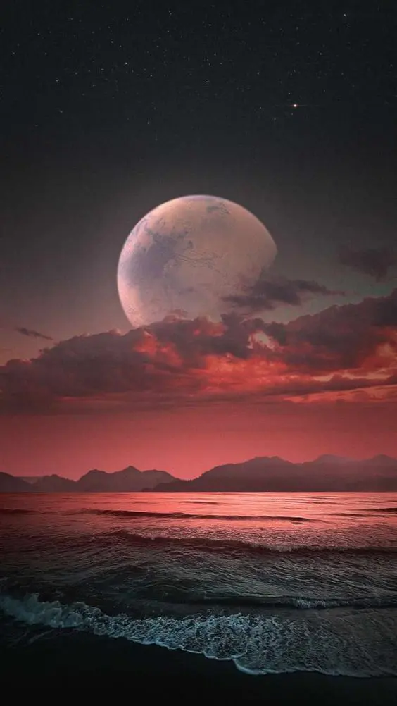 Download Beautiful Moon In The Sea Wallpaper | Wallpapers.com