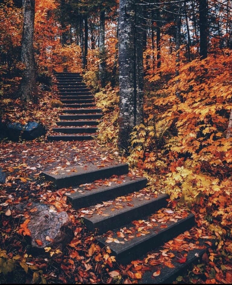 70+ Halloween Aesthetic Pictures To Give You That Spooky Feeling